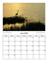 calendar_06