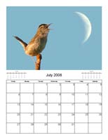 calendar_07