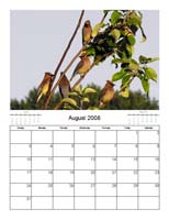 calendar_08