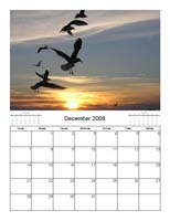 calendar_12