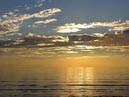 shorebirds_sunset_20